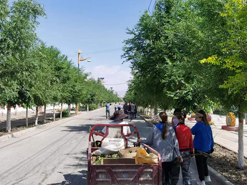 磺Աֲ 