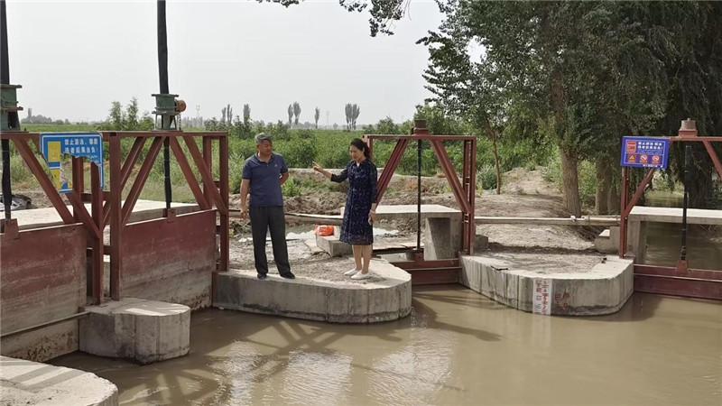 第三师图木舒克市水利局全力推进农田灌溉水有效利用系数测算工作