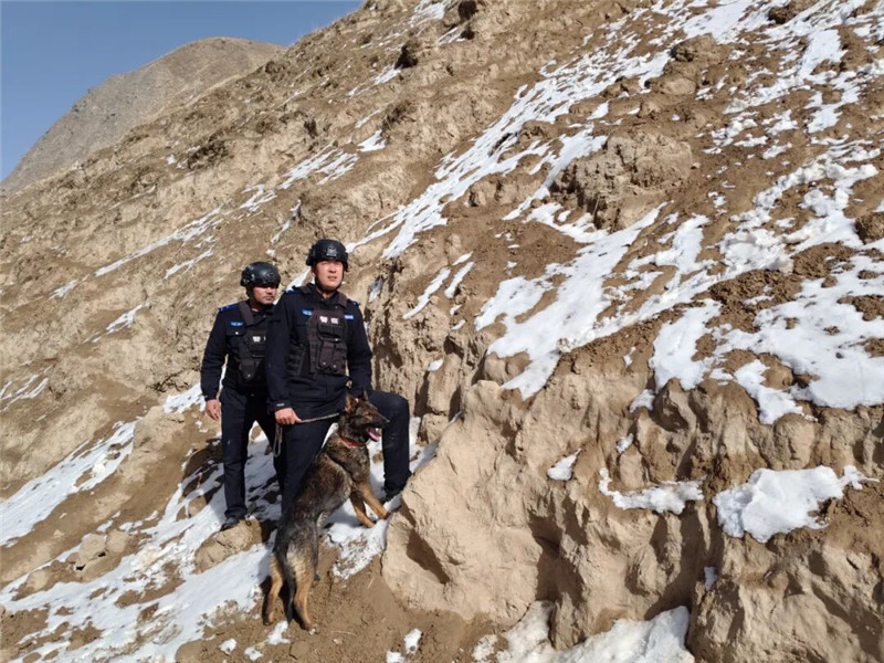 ���±��ϵĲ������ԣ��ⳡѩ�ػ�������ɽΪ�������ϻ�ɴ��