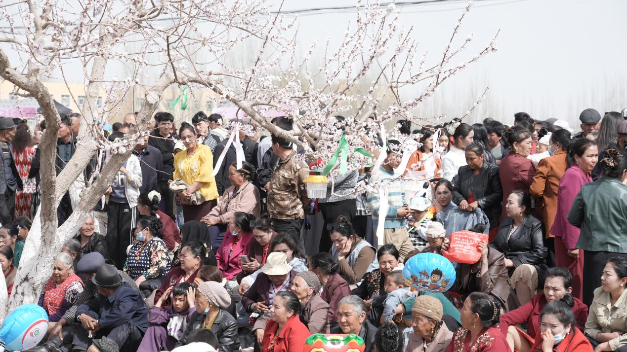 ɽ�����ء�������ʲ|2026��ʲ���ͻ����μ�ϵ�л��Ӣ��ɳ��ʢ����Ļ