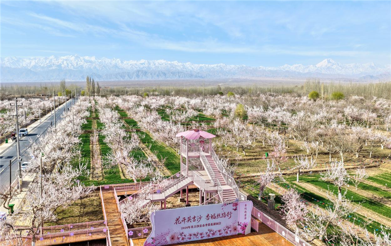 ɽ�����ء�������ʲ|2026��ʲ���ͻ����μ�ϵ�л��Ӣ��ɳ��ʢ����Ļ