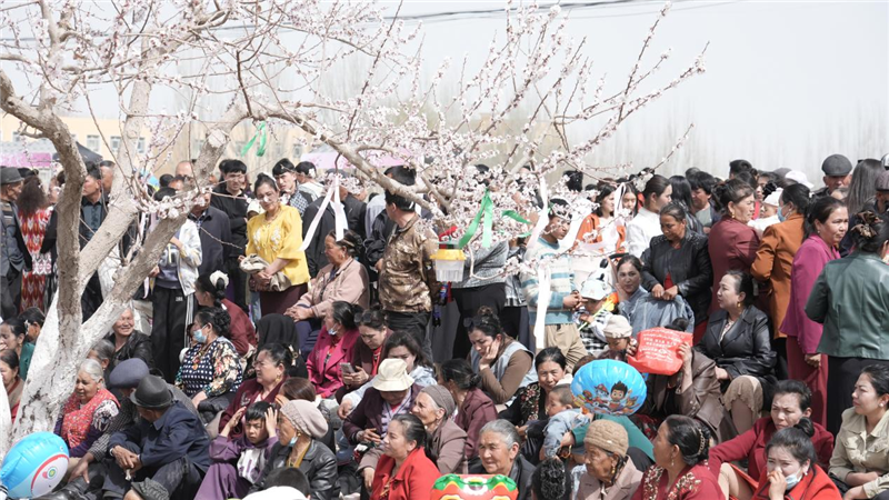 ɽ�����ء�������ʲ|2026��ʲ���ͻ����μ�ϵ�л��Ӣ��ɳ��ʢ����Ļ